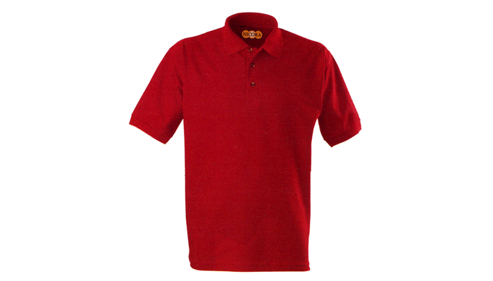 Polo Basic