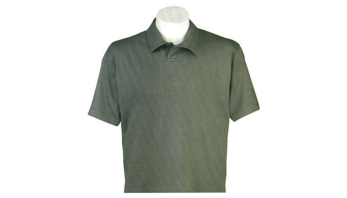Polo Bradford